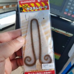 遊漁船 ニライカナイ 釣果