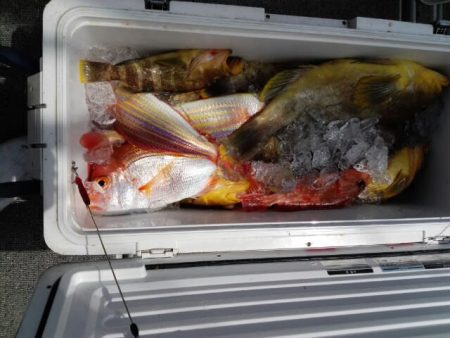 第二大福丸 釣果