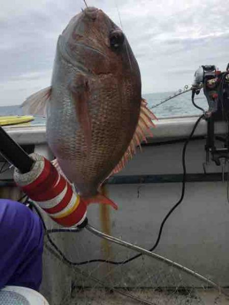 龍宮丸 釣果