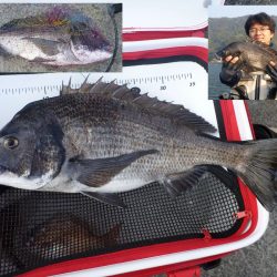 愛媛県最後の釣行レポート！【飛利浦氏連載 vol.9】