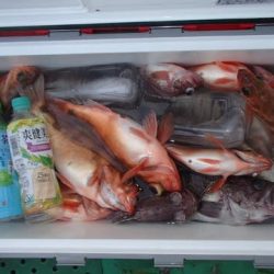 第二むつ漁丸 釣果