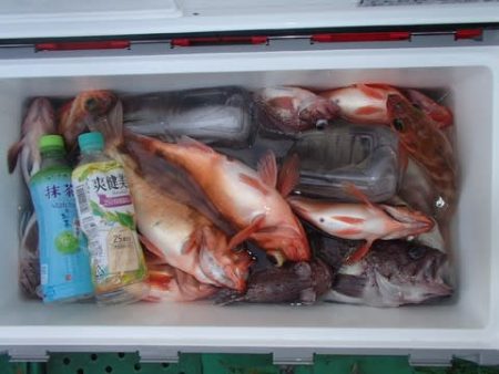 第二むつ漁丸 釣果