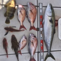 大将丸 釣果