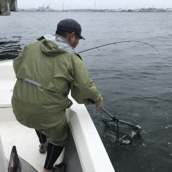TOPGUN衣浦 釣果