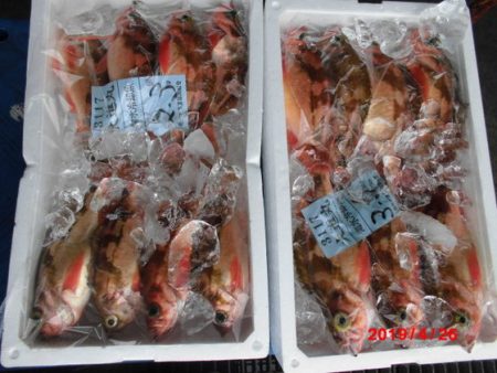 大進丸（新潟） 釣果