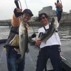 シーマジカル 釣果