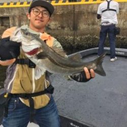 シーマジカル 釣果