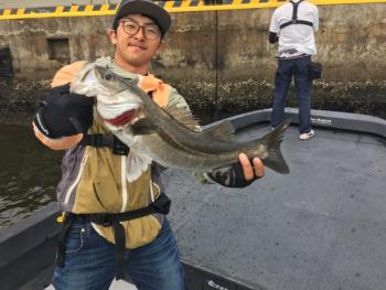 シーマジカル 釣果