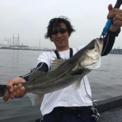 シーマジカル 釣果