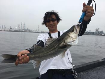 シーマジカル 釣果