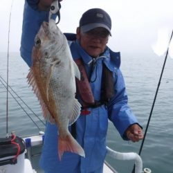 遊漁船 幸友丸 釣果