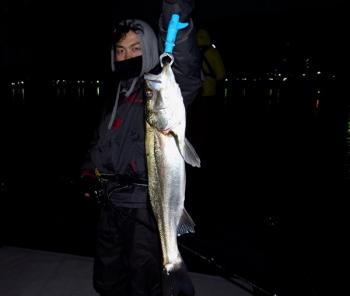 シーマジカル 釣果