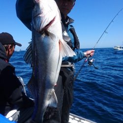 遊漁船ブルーウッズ 釣果