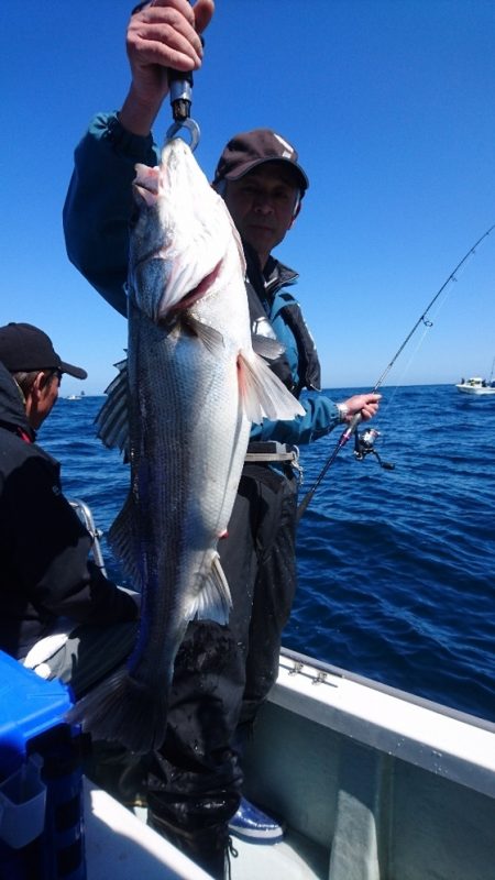 遊漁船ブルーウッズ 釣果