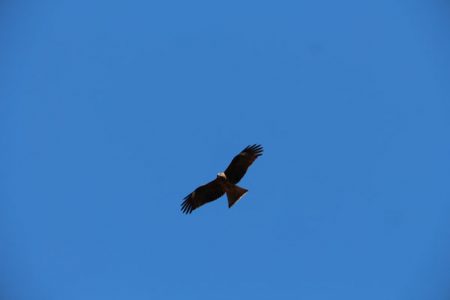 小菅トラウトガーデン 釣果