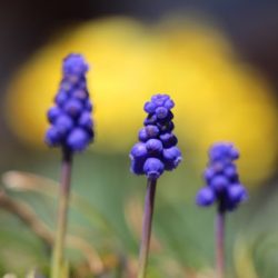 小菅トラウトガーデン 釣果