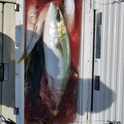 遊漁船 ニライカナイ 釣果