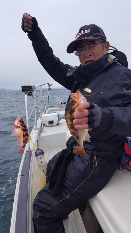 海峰 釣果