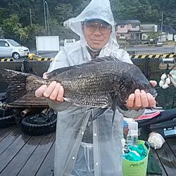 勝丸渡船 釣果