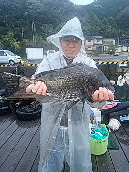 勝丸渡船 釣果