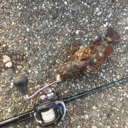 コスパ高の波止遊び【きしょう氏連載 vol.9】