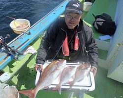 久里浜黒川本家 釣果