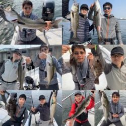 シーマジカル 釣果