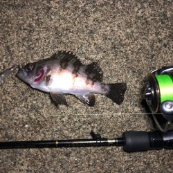 二見メバリング17