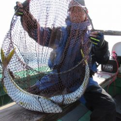 真祐丸 (しんゆうまる) 釣果