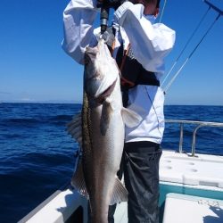 遊漁船ブルーウッズ 釣果