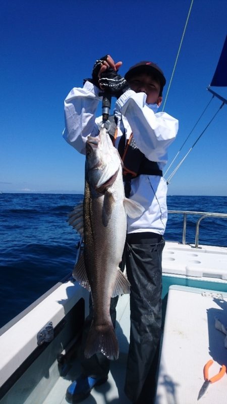 遊漁船ブルーウッズ 釣果