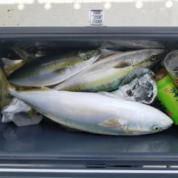 遊漁船 ニライカナイ 釣果