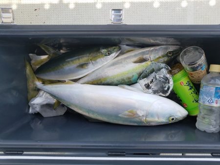 遊漁船 ニライカナイ 釣果