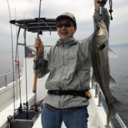 シーマジカル 釣果