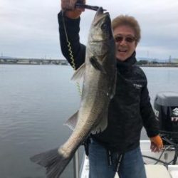 シーマジカル 釣果