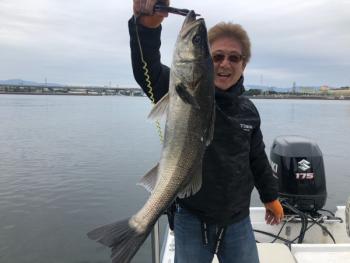 シーマジカル 釣果