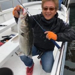 シーマジカル 釣果