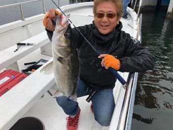 シーマジカル 釣果