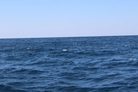 へいみつ丸 釣果