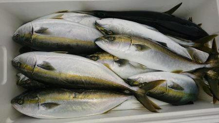 スカイマリン 釣果