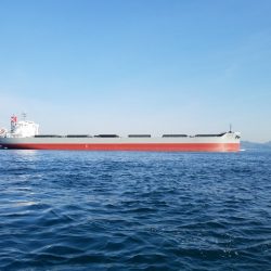 遊漁船 ニライカナイ 釣果