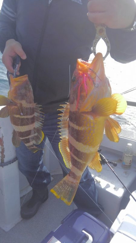 遊漁船 新鋭丸 釣果