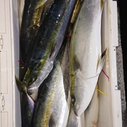 スカイマリン 釣果