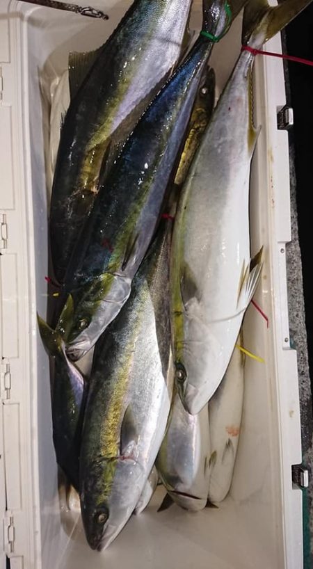 スカイマリン 釣果