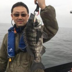 シーマジカル 釣果