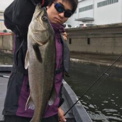 シーマジカル 釣果