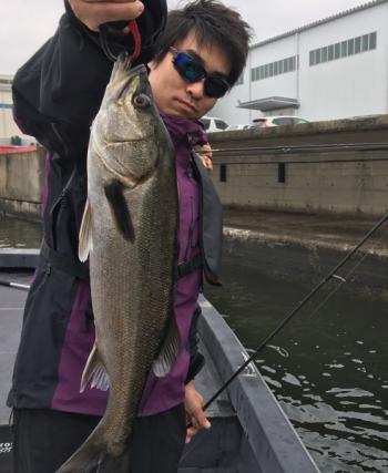 シーマジカル 釣果