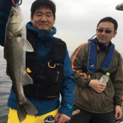 シーマジカル 釣果