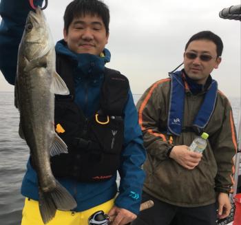 シーマジカル 釣果