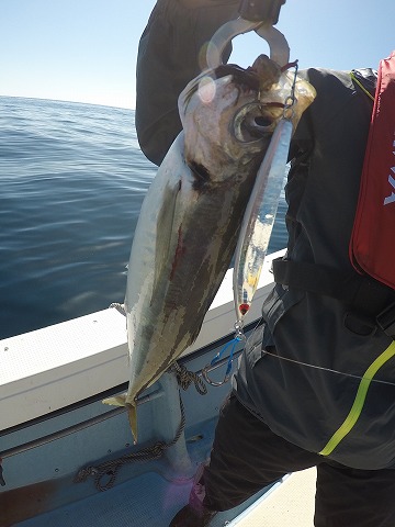 三吉丸 釣果